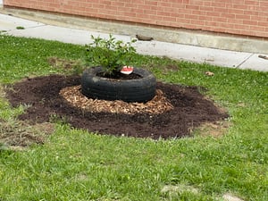 May 11, 2022 at 5_46 PM